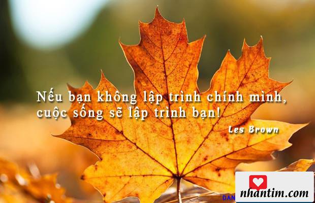 Nếu bạn không lập trình chính mình, cuộc sống sẽ lập trình bạn!