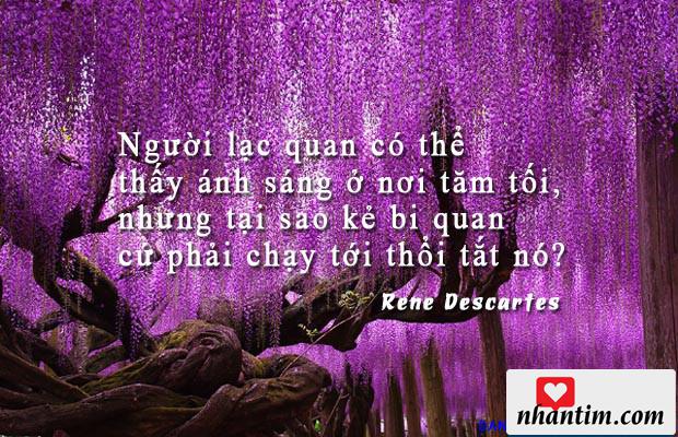 Người lạc quan có thể thấy ánh sáng ở nơi tăm tối, nhưng tại sao kẻ bi quan cứ phải chạy tới thổi tắt nó?