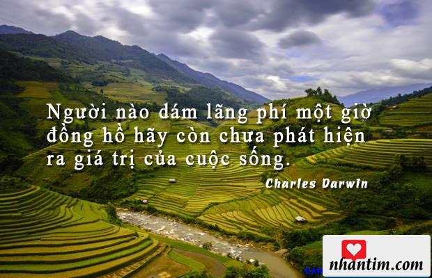 Người nào dám lãng phí một giờ đồng hồ hãy còn chưa phát hiện ra giá trị của cuộc sống