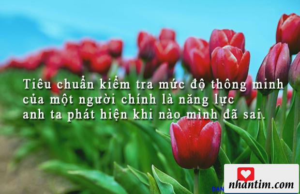 Tiêu chuẩn kiểm tra mức độ thông minh của một người chính là năng lực anh ta phát hiện khi nào mình đã sai