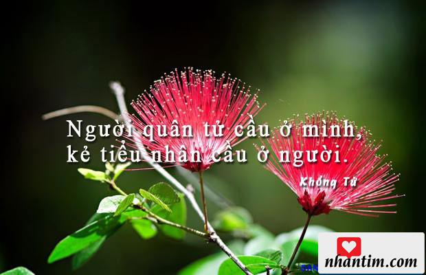 Người quân tử cầu ở mình, kẻ tiểu nhân cầu ở người